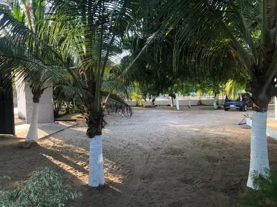 Jardín al aire libre en Luxury Beach House