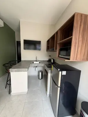 Una cocina o zona de cocina en Premier Suite Elegance, spaciousness and comfort 06