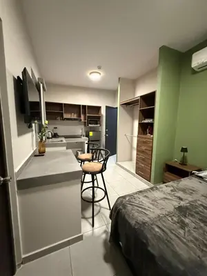 Una cocina o zona de cocina en Beautiful Downtown Suite 04