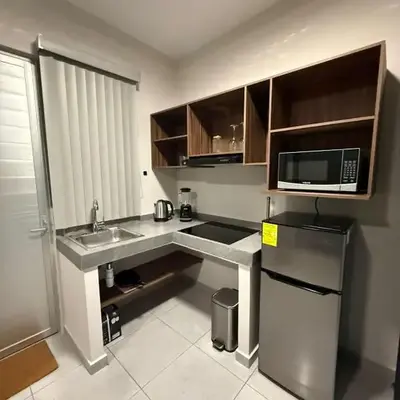 Beautiful Downtown Suite 04