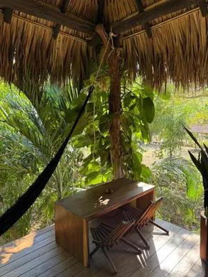 Jardín al aire libre en Loft Amplio con Vista Natural en Mazunte