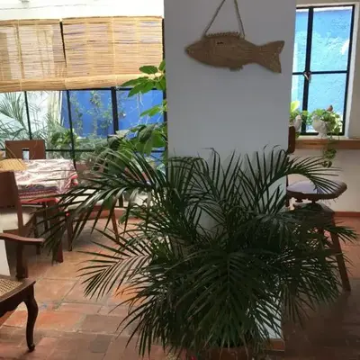 Casa Molcajete