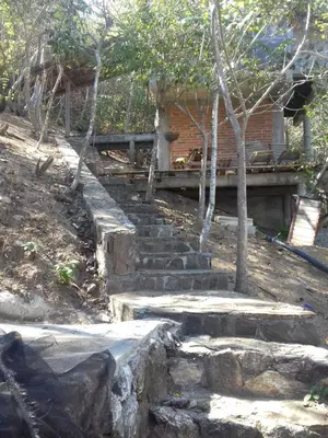 Plano de La pajarera