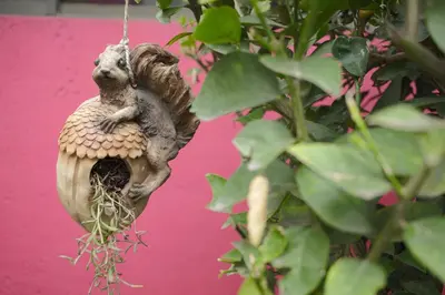 Animales en el bed & breakfast o alrededores