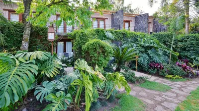 Jardín al aire libre en Amomoxtli