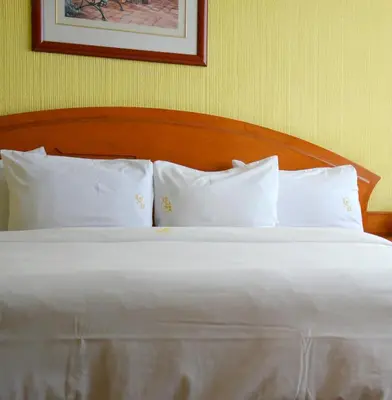 Cama o camas de una habitación en Hotel Real del Sur