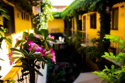 Jardín al aire libre en Hotel Dainzu