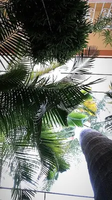Plano de Hotel Tierra del Sol Oaxaca