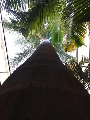 Plano de Hotel Tierra del Sol Oaxaca
