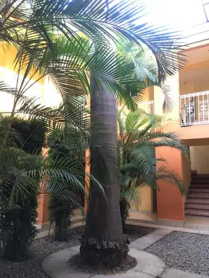 Plano de Hotel Tierra del Sol Oaxaca