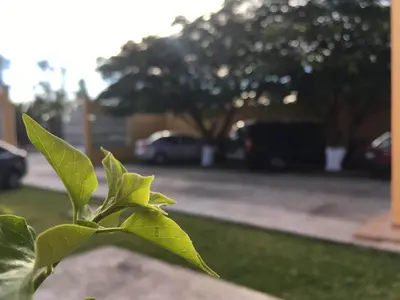 Jardín al aire libre en Hotel Tierra del Sol Oaxaca