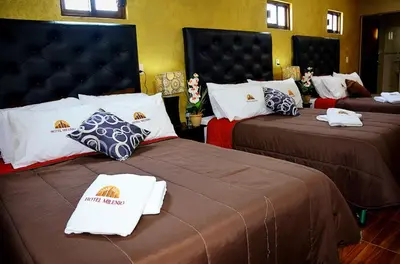 Cama o camas de una habitación en Hotel Milenio Nanacamilpa Tlaxcala