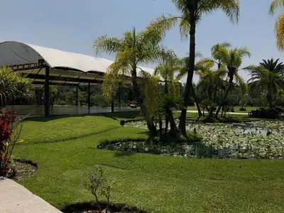 Jardín al aire libre en Huayacán Cuernavaca Curamoria Collection