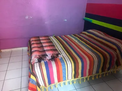 Cama o camas de una habitación en Iguana Hostel Oaxaca