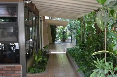 Jardín al aire libre en Hotel La Hacienda