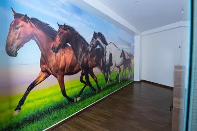 Animales en el hotel o alrededores