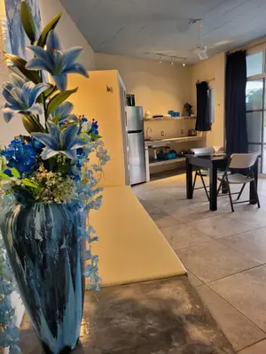 Una cocina o zona de cocina en Casablanca Guest House - Adults Only - Starlink Internet!