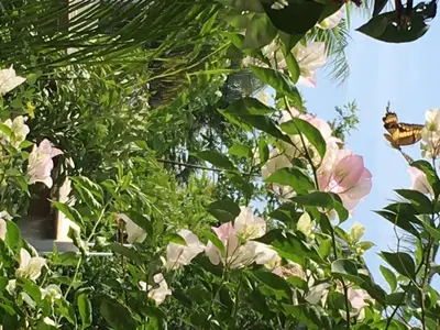 Jardín al aire libre en Villa Maria Bed and Breakfast