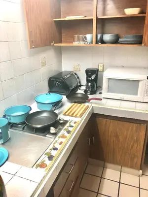Una cocina o zona de cocina en Suites Parador Santo Domingo de G.
