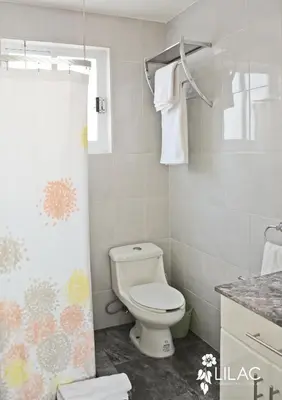 Un baño de Centenario 29