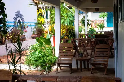 Jardín al aire libre en La Playita Beach House