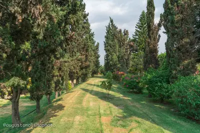 Jardín al aire libre en Hotel El Cristo