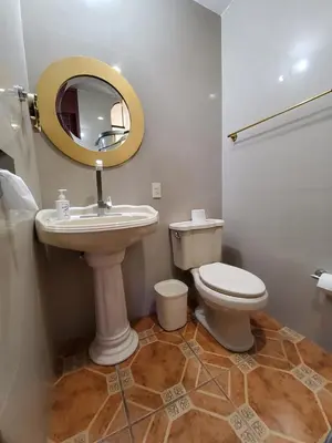 Un baño de Villa Alfonsina