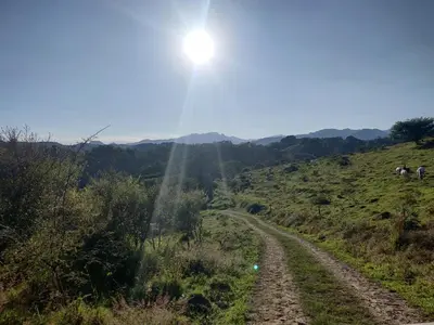 Paisaje cerca de este hostal o pensión