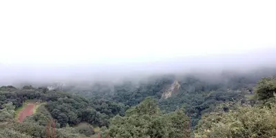 Paisaje cerca de este hotel