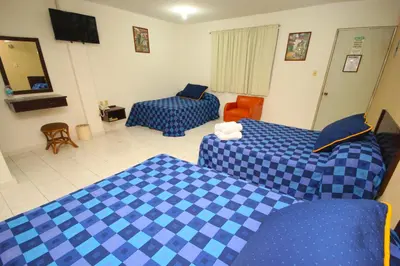 Cama o camas de una habitación en Hotel Posada del Carmen