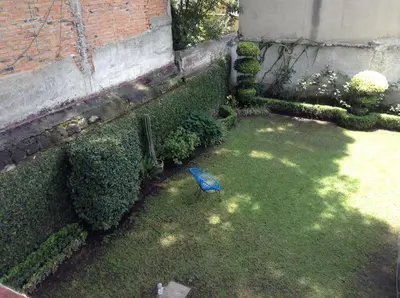 Jardín al aire libre en Hostal Centro de Coyoacan