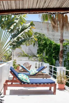 Jardín al aire libre en Casa Daikiri Hostel & Suites