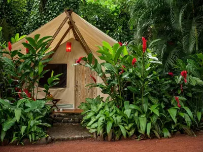 Jardín al aire libre en Picocanoa Rodavento