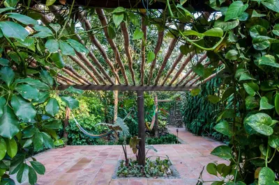 Jardín al aire libre en Picocanoa Rodavento