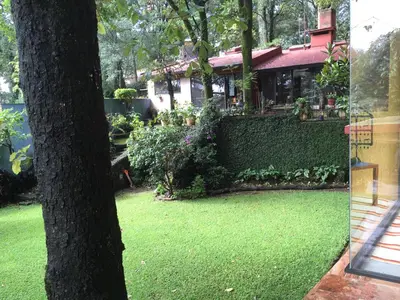 Jardín al aire libre en Refugio en el bosque de agua en Cuernavaca