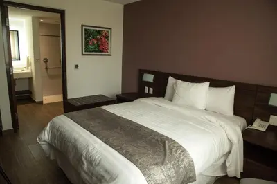Cama o camas de una habitación en Lithio Hotel