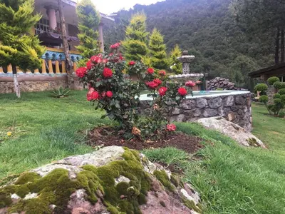 Jardín al aire libre en Rancho Escondido Casa Goyri