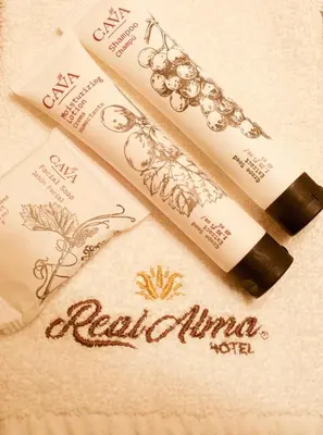 Plano de Hotel Real Alma