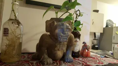 Mascotas con sus dueños en Cozy & Full Apt in Coyoacan Great for Long Stays