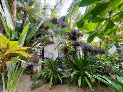 Jardín al aire libre en Hotel Descalzo SPA