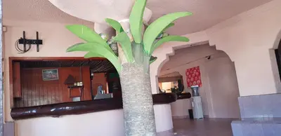 Plano de Hotel Delfines Del Mar Acapulco