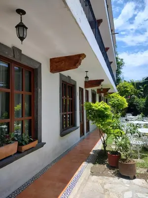Jardín al aire libre en Hotel Magnolia cuetzalan
