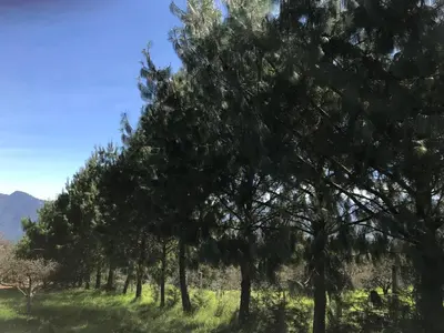 Paisaje cerca de este lodge