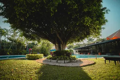 Jardín al aire libre en Hotel Quinta Moctezuma