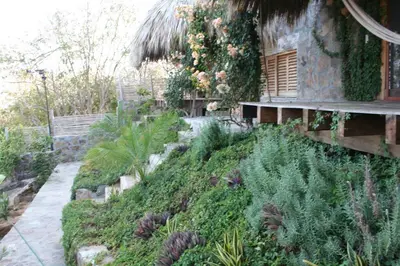 Jardín al aire libre en Hotel Sal de Mar