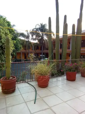 Jardín al aire libre en Hotel Plaza del Sol