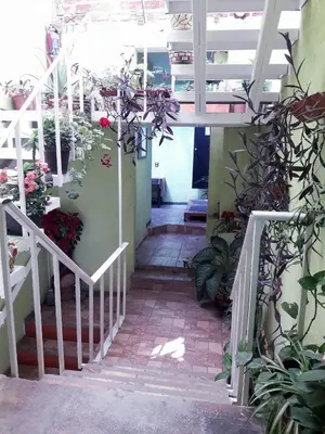 Plano de Oaxaquita la Bella