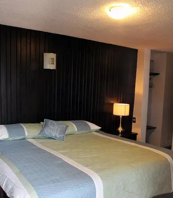 Cama o camas de una habitación en Hotel Avenida