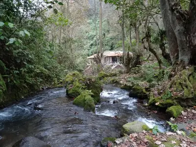 Paisaje cerca de este lodge