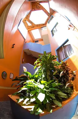 Plano de Hotel posada casa regia